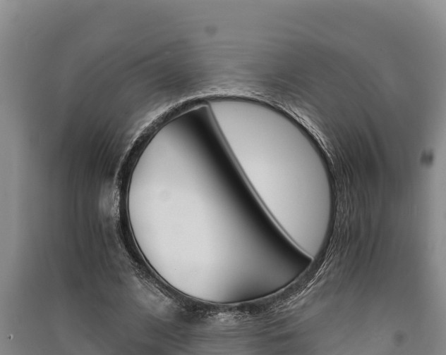 X0000091520584200708171012