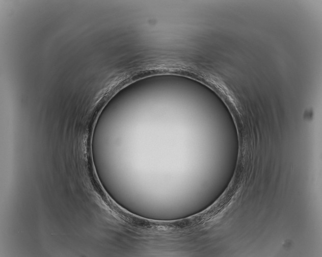 X0000091520585200708171012