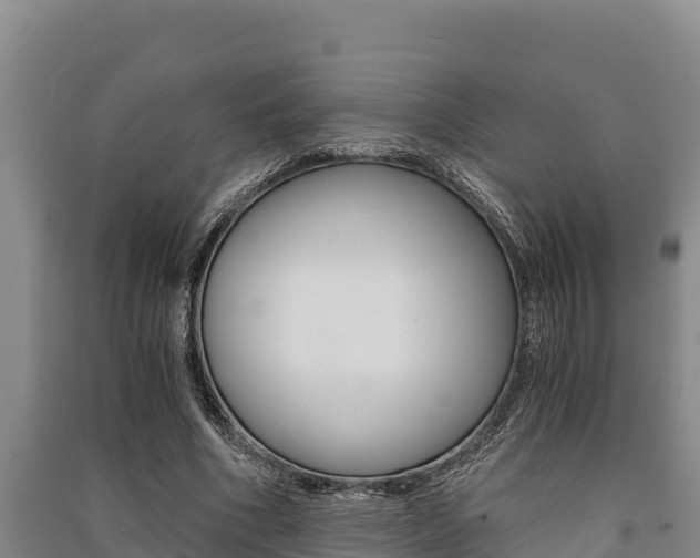 X0000091520586200708171012