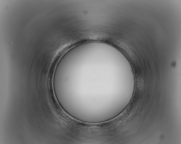 X0000091520587200708171012