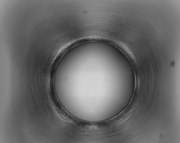 X0000091520588200708171012