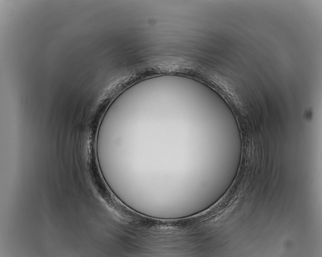 X0000091520590200708171012