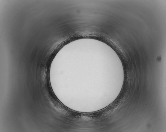 X0000091520592200708171011