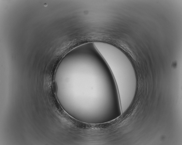 X0000091520593200708171011