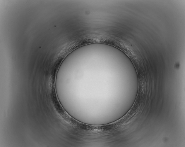 X0000091520594200708171011