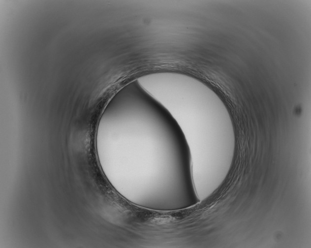 X0000091520595200708171011