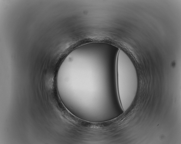 X0000091520596200708171011