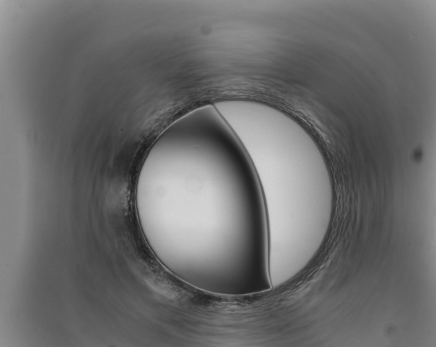 X0000091520597200708171011
