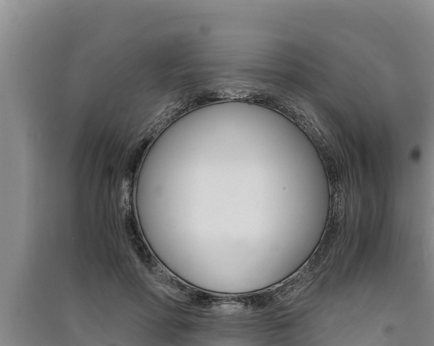 X0000091520598200708171011