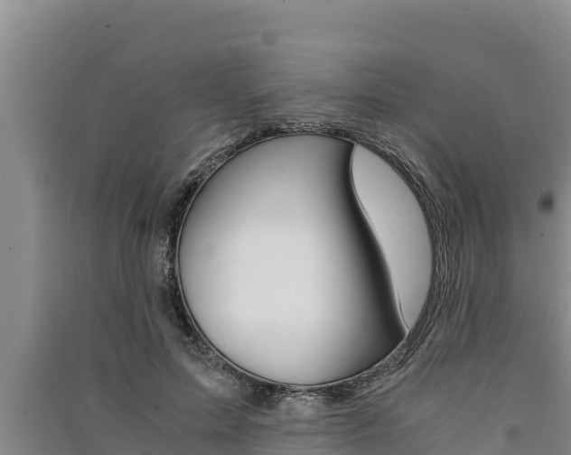 X0000091520599200708171011