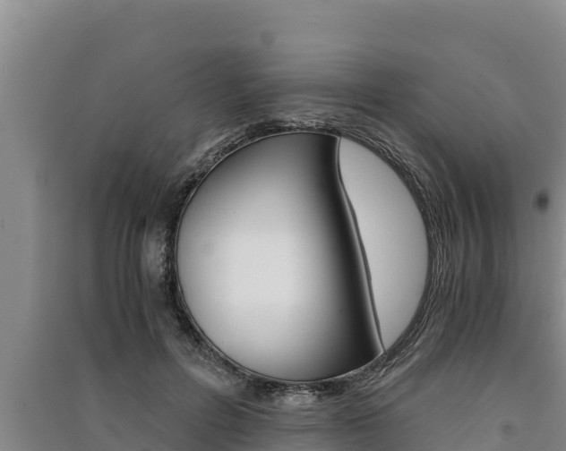 X0000091520600200708171011