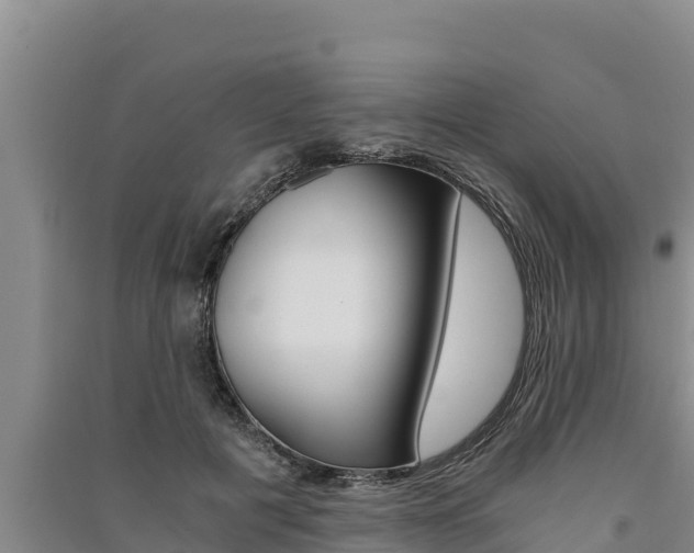 X0000091520601200708171011