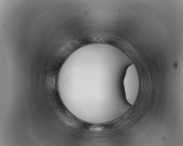 X0000091520602200708171011