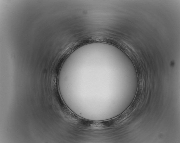 X0000091520603200708171011