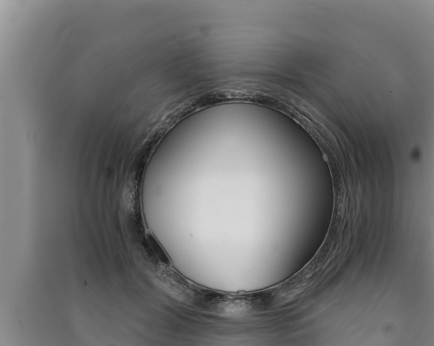 X0000091520604200708171011