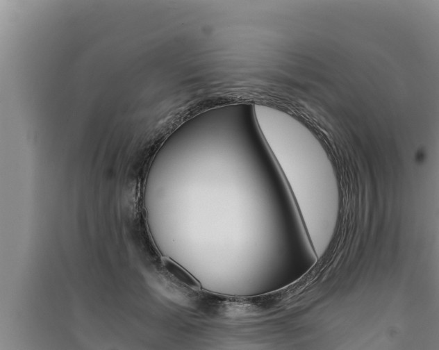 X0000091520605200708171011