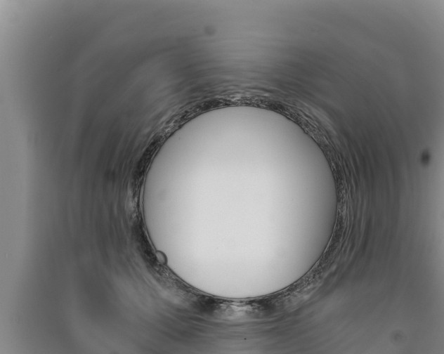 X0000091520607200708171011