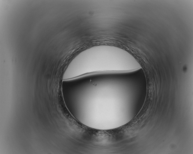 X0000091520608200708171011