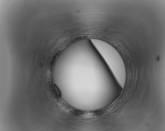 X0000091520609200708171011