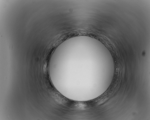 X0000091520610200708171011