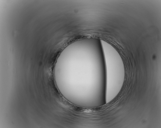 X0000091520611200708171011