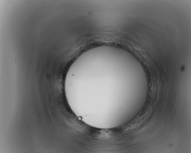 X0000091520612200708171011