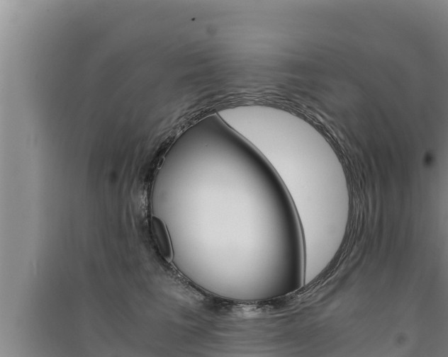 X0000091520613200708171011