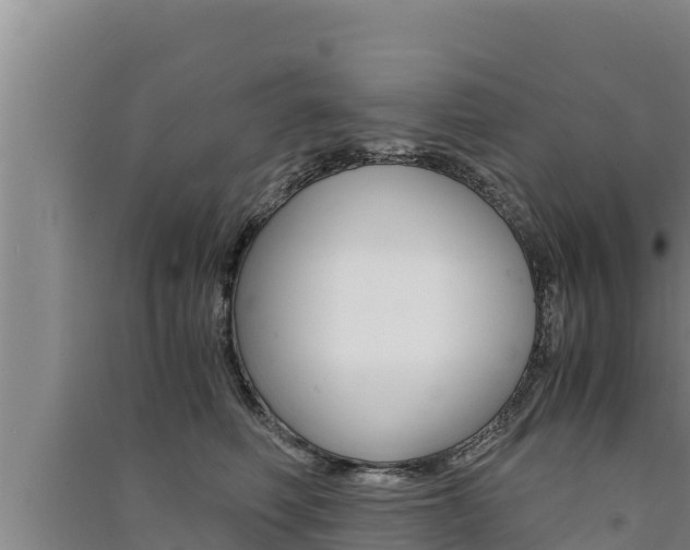 X0000091520614200708171011