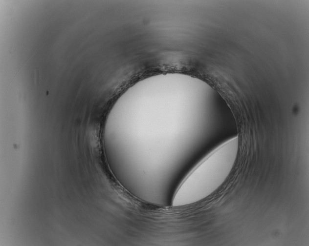 X0000091520616200708171011