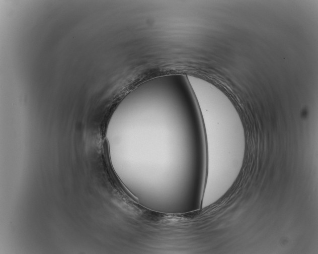 X0000091520617200708171011