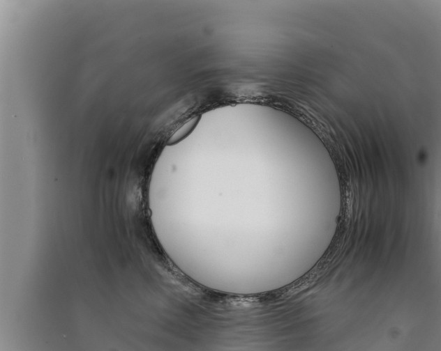 X0000091520618200708171011