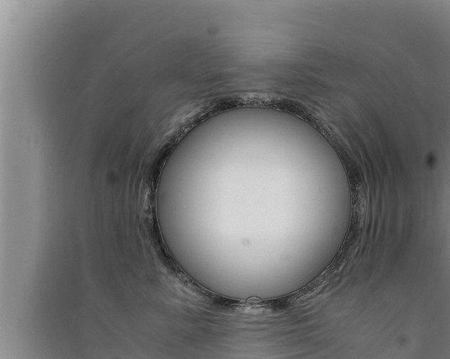 X0000091520619200708171011