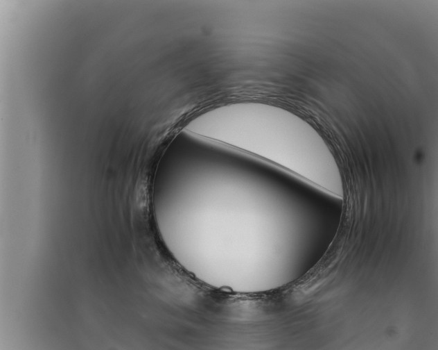X0000091520620200708171011