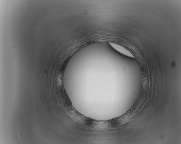 X0000091520621200708171011