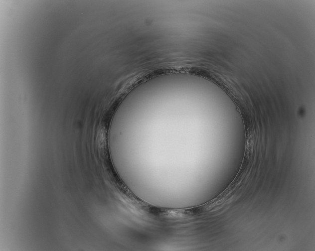 X0000091520623200708171011