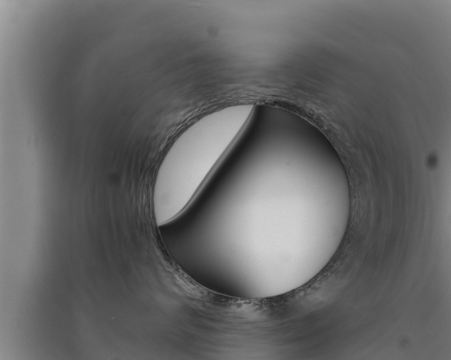 X0000091520624200708171011
