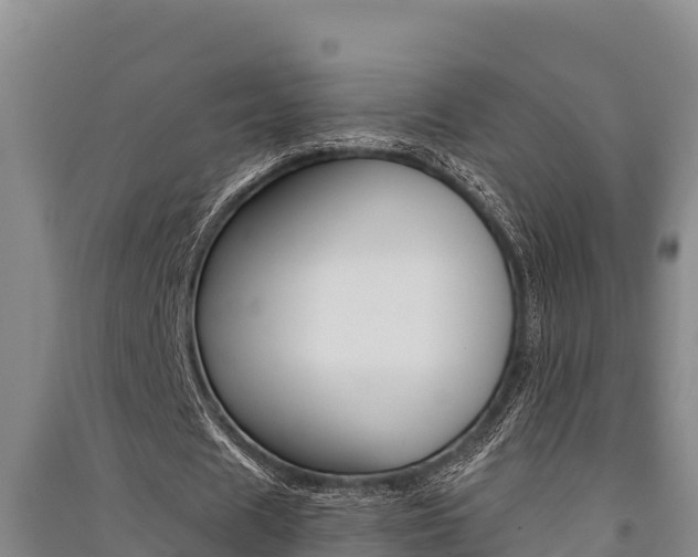 X0000091520625200708171010