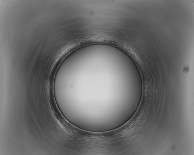 X0000091520626200708171010