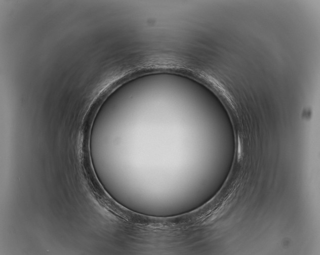 X0000091520627200708171010