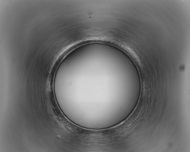 X0000091520628200708171010
