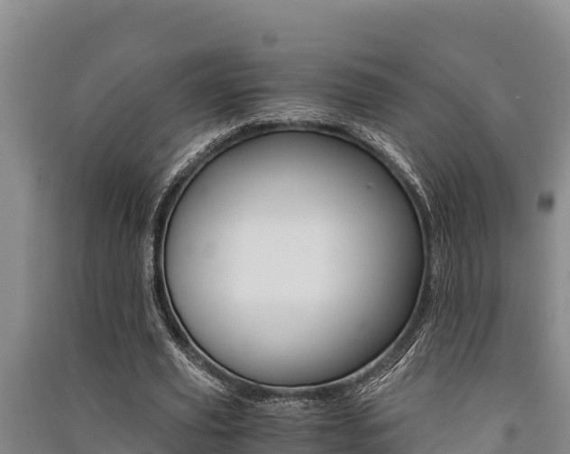 X0000091520629200708171010