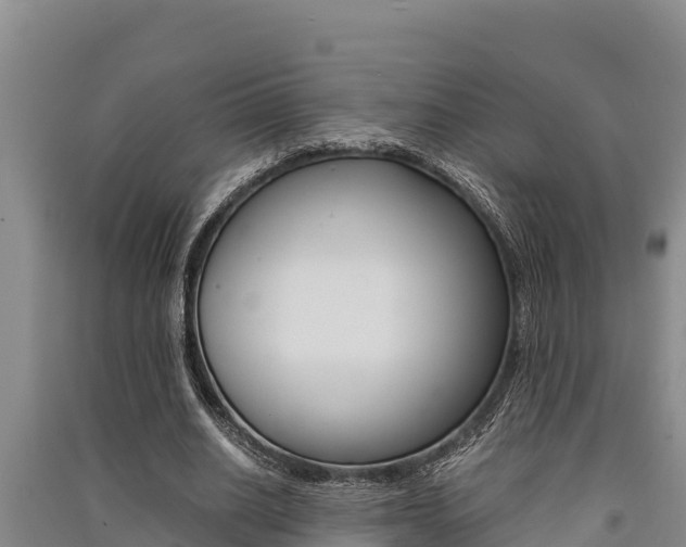 X0000091520630200708171010