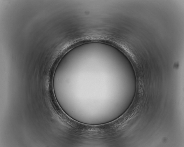 X0000091520631200708171010