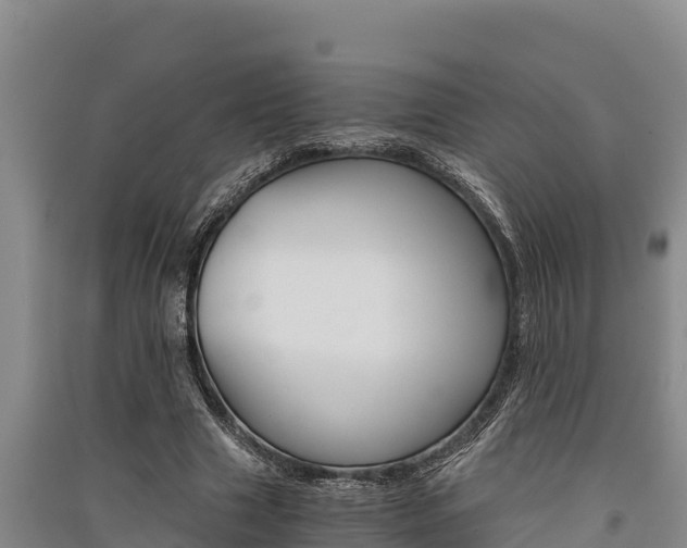 X0000091520633200708171010