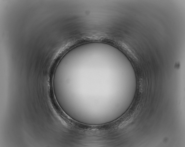 X0000091520634200708171010