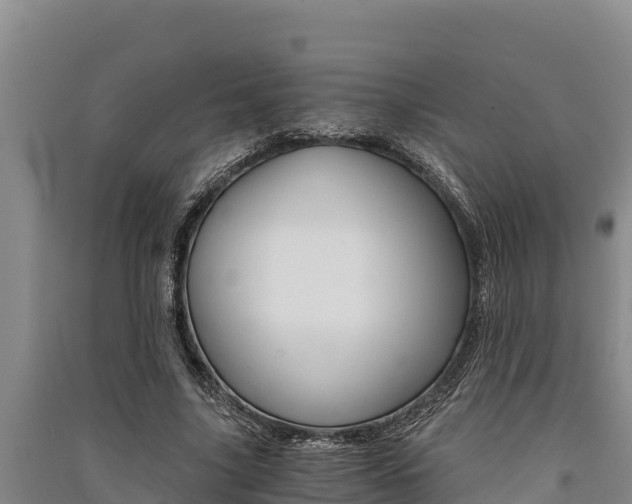 X0000091520635200708171010
