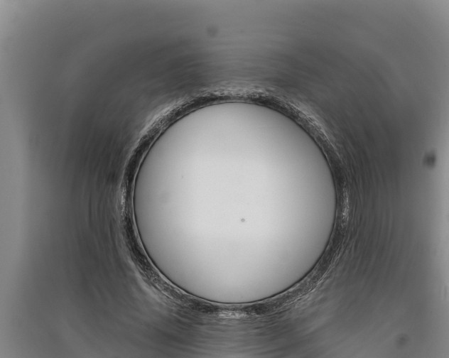 X0000091520636200708171010