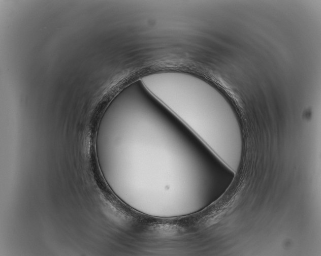 X0000091520637200708171010