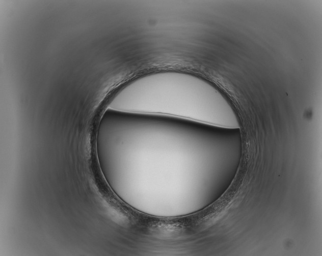X0000091520638200708171010