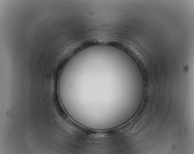 X0000091520639200708171011